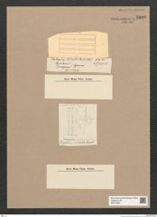 Diatomeae indet. Zeichnungen Sammlung Grunow Nr. 5880 (NHMW-BOT-W0374329)
